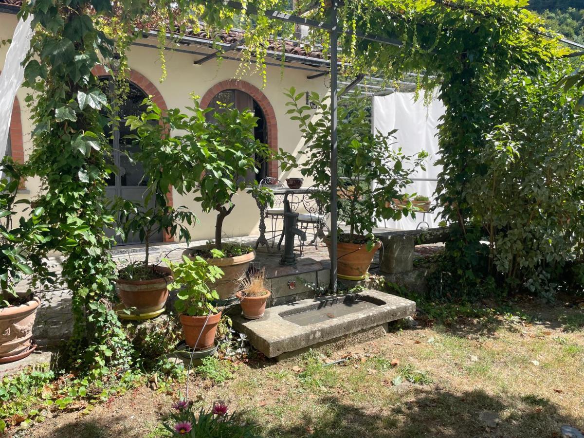 فيلا La Limonaia Di Casagrande بارغا المظهر الخارجي الصورة